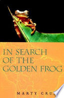 In search of the golden frog /