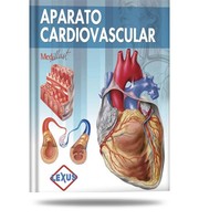 Aparato cardiovascular /
